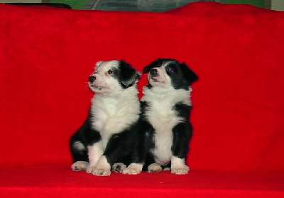 Mean pojat 6 vko kuva M-L L�nnholtz